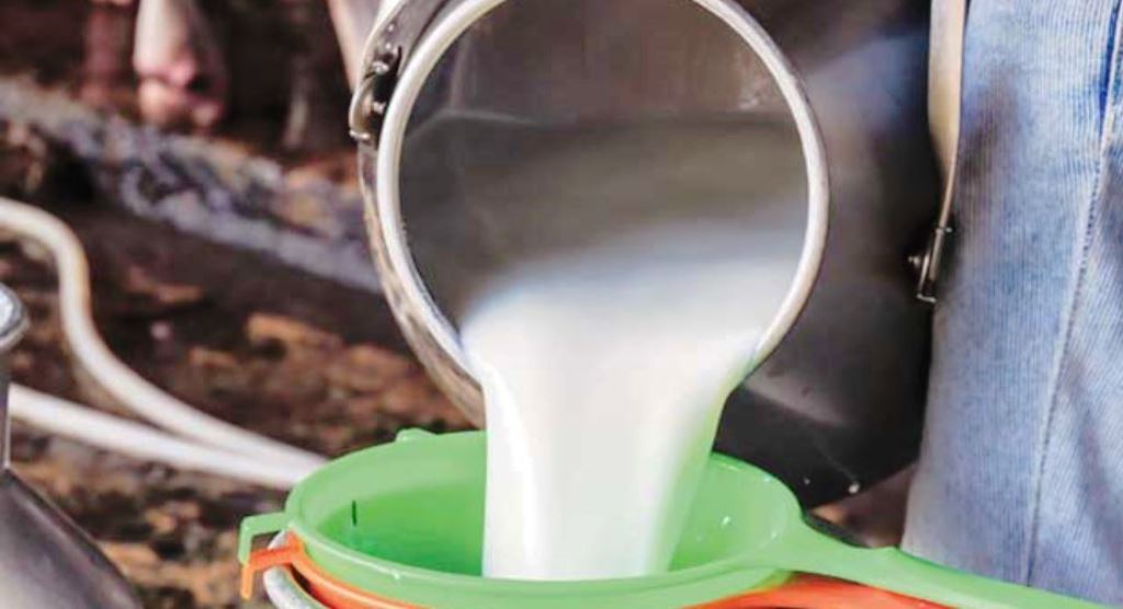 भारतबाट आउँछ तीन लाख लिटर दूध, किसान भने विक्री नभएर हैरान