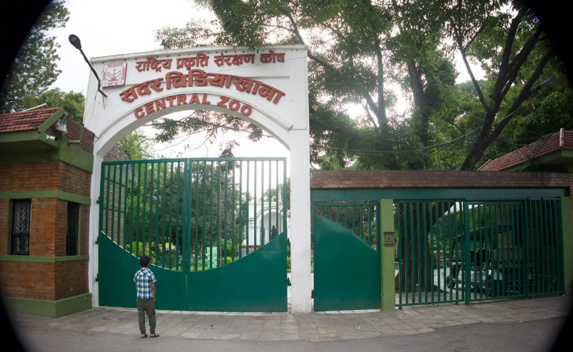 जावलाखेल चिडियाखानामा बर्डफ्लु संक्रमण, अनिश्चितकालका लागि बन्द